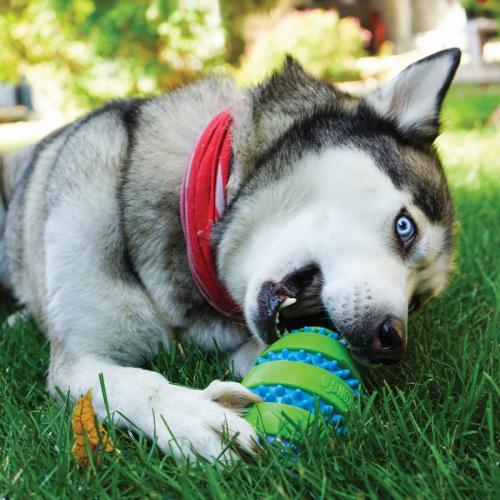 KONG Squeezz Goomz Ball XL, Ø 9 cm