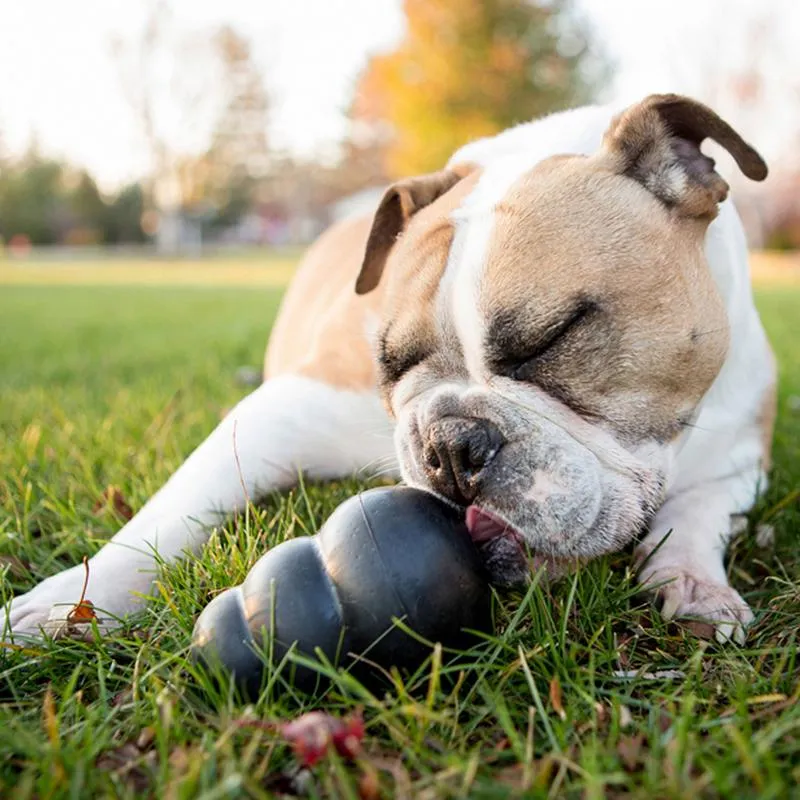 KONG Extreme Spielzeug für Hunde (15 cm/ab 38 kg)