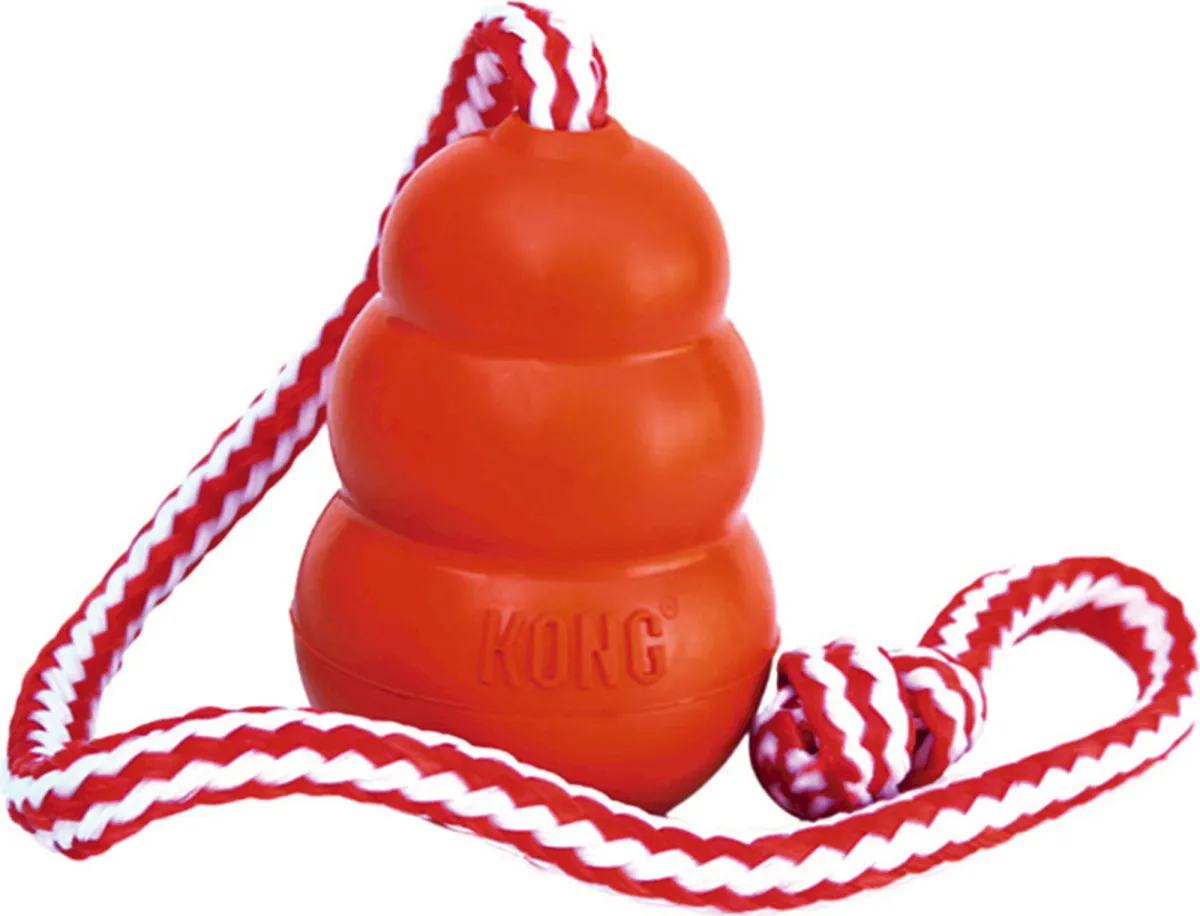 KONG Aqua Hundespielzeug L orange 10,5 cm