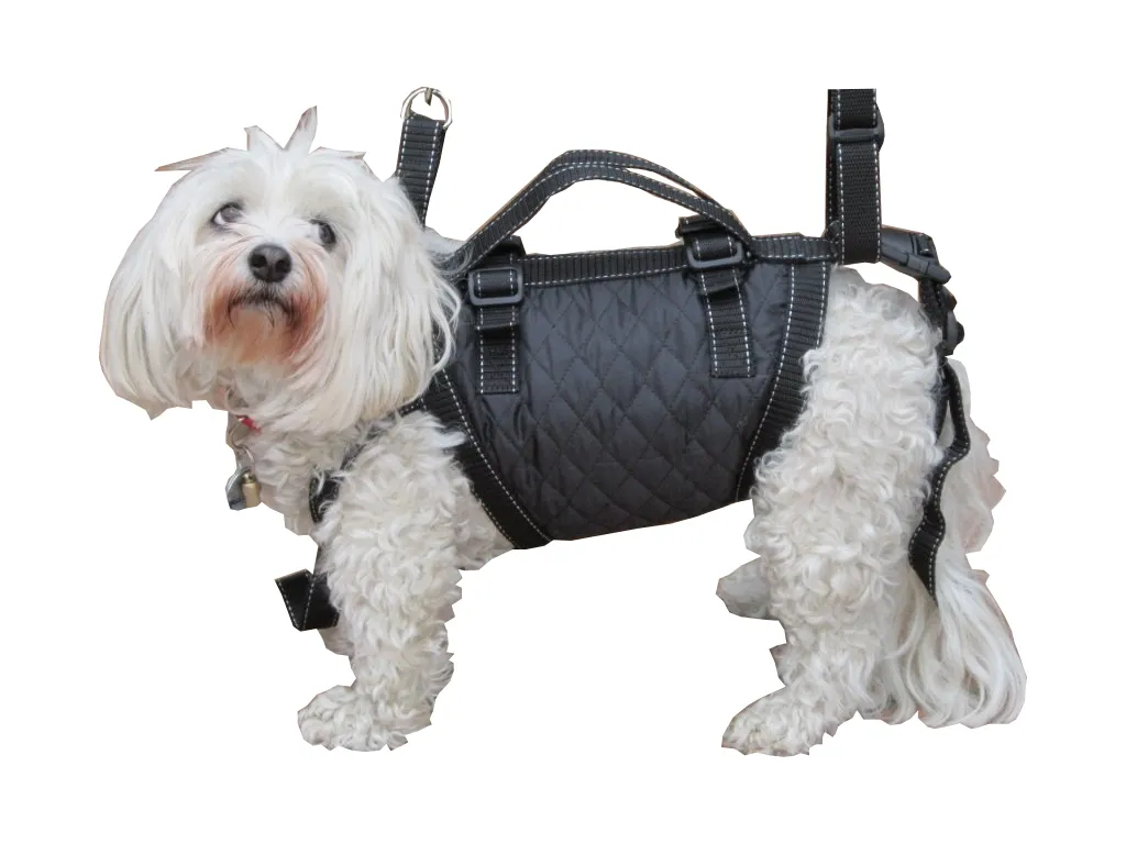 Hundetragegurt Tiffys Tasche 1 (ABVERKAUF)