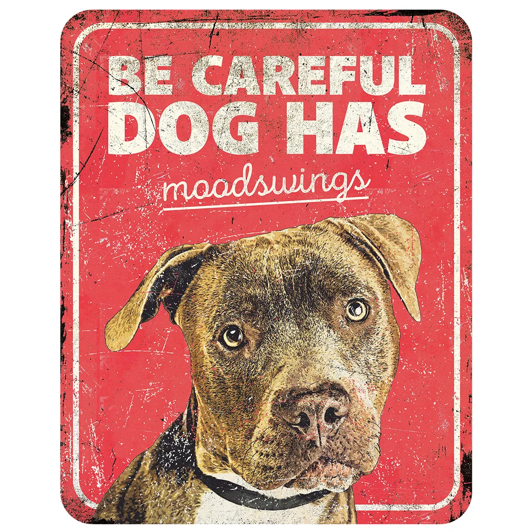 Laroy EBI D&D Warning Sign STAFFORD EN 25x20x0,3cm rot
