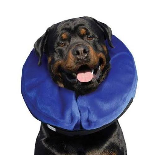 KONG Cloud Schutzkragen XL für Hunde & Katzen