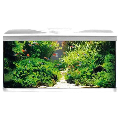 System Tank V2 80 LED White – Amtra
