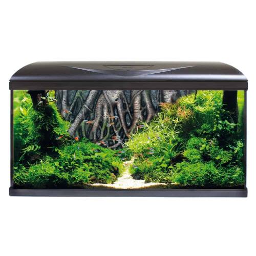 System Tank V2 80 LED Black Root – Amtra