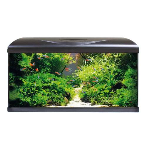 System Tank V2 80 LED Black – Amtra