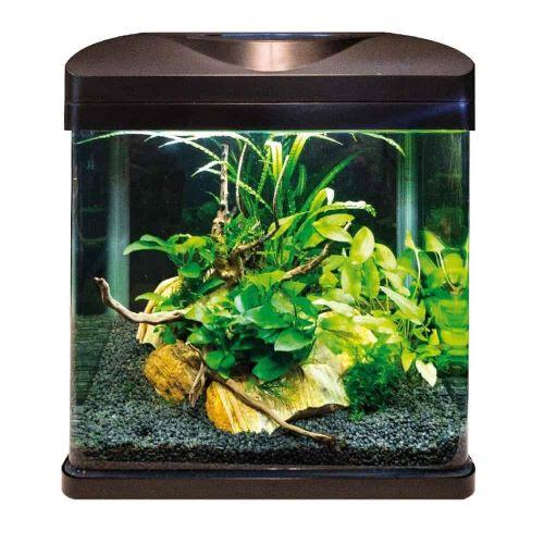 Wave Laguna LED 40 – Amtra