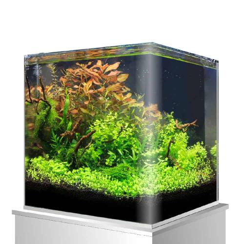 Nanotank 25 × 25 × 30 – Amtra