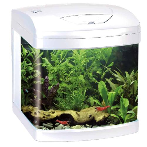 xcube 26L White LED – Amtra