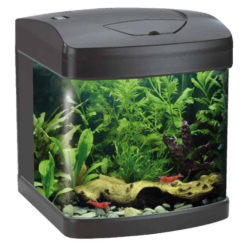 xcube 26L Black LED – Amtra