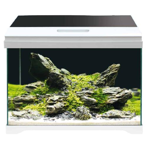 Modern Tank 40 LED – Amtra