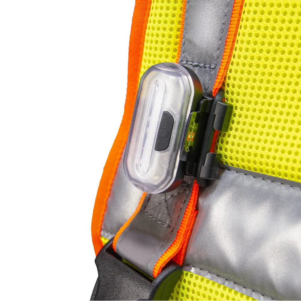 Hundeleuchtdecke Balou Profi LED, Grösse XXL – Grossenbacher
