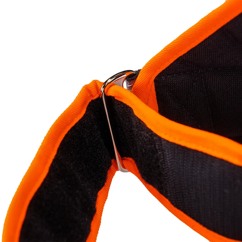 Hundeleuchtdecke Balou Profi LED, Grösse M – Grossenbacher