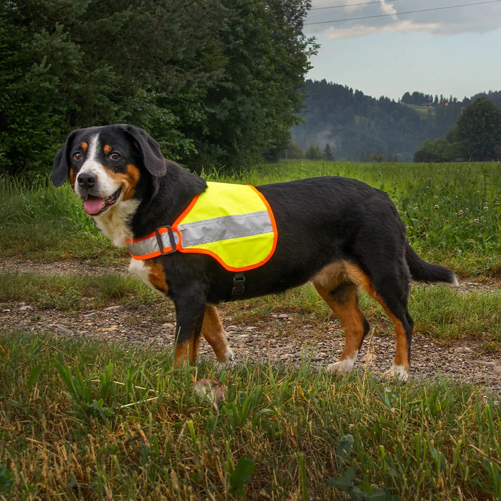 Hundeleuchtdecke Balou Easy, Grösse S – Grossenbacher