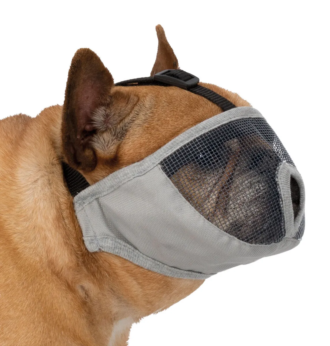 Maulkorb Hund für kurznasige Rassen S kurz, Stirnriemen 23 cm, grau – Trixie