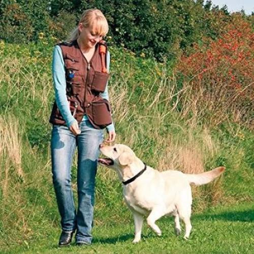 Dog Activity Trainingsweste S, braun