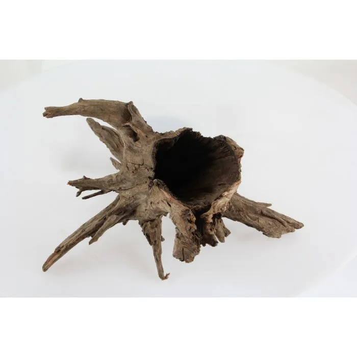 Aquariumwurzel Corbo Medium 40–50 cm – Amazonas