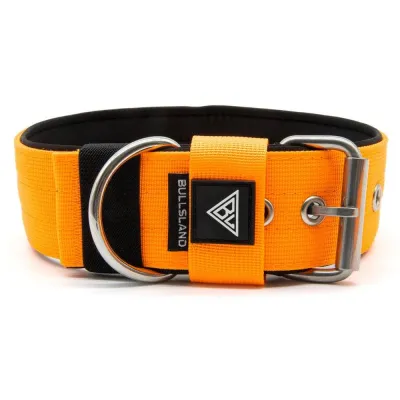 Taktisches Hundehalsband mit Griff Orange 5 cm M (43–58 cm) – Bullsland