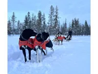 Non-Stop-Dogwear-LONG-DISTANCE-Jacket XL