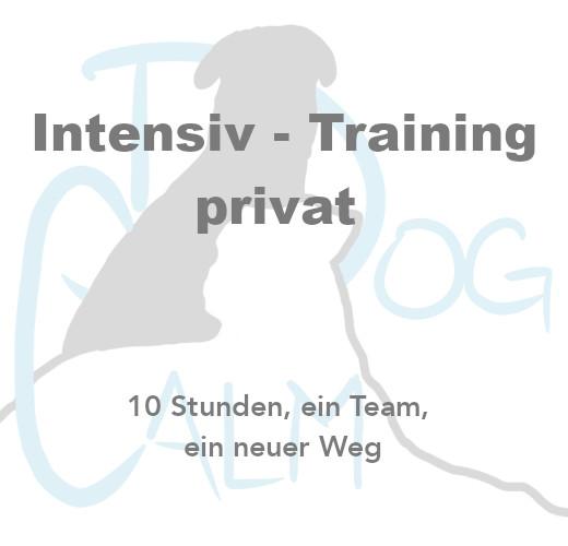 intensiv-training-3695