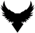 RAVEN WEAPON