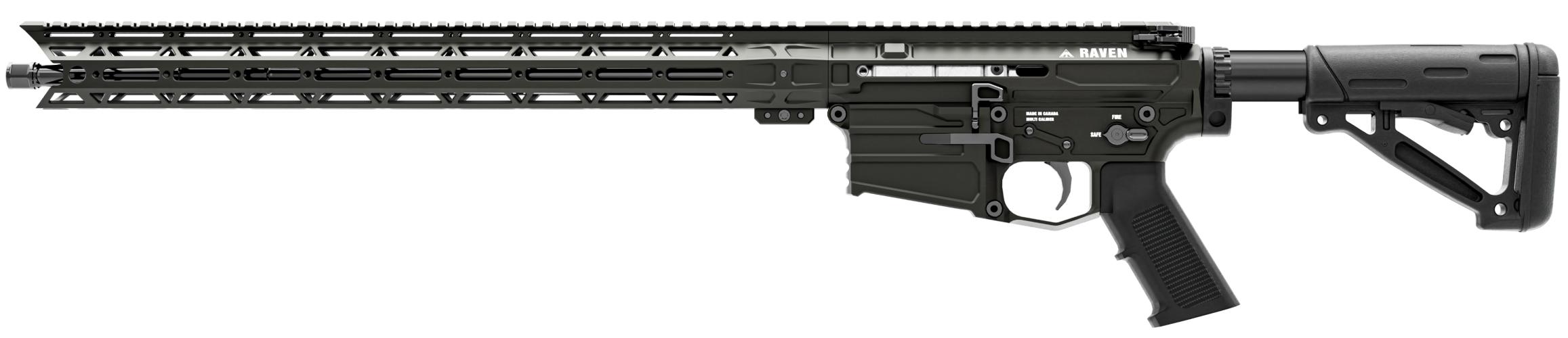 Raven Swiss, .223 Rem., noir