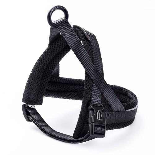 freezack-hundegeschirr-nordic-basic-mini-schwarz-15563