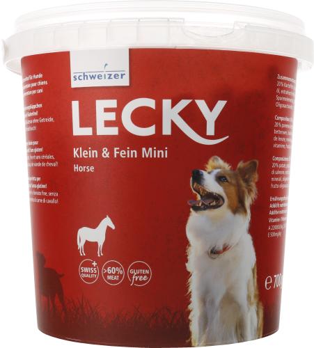 klein-fein-mini-horse-75966