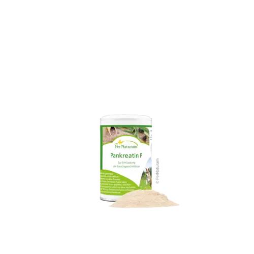 Pankreatin P  100g