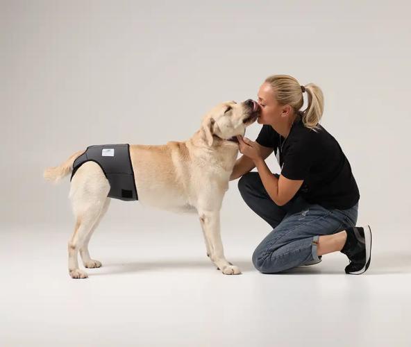 ​Läufigkeitshosen 8 L-L, Inkontinenzhosen von Nature Pet
