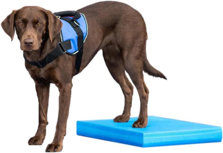 fitpaws-balance-pad-149465