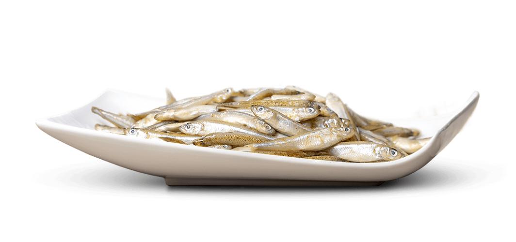 bigpet-fischli-ganz-stint-lose-gefroren-450g-149124