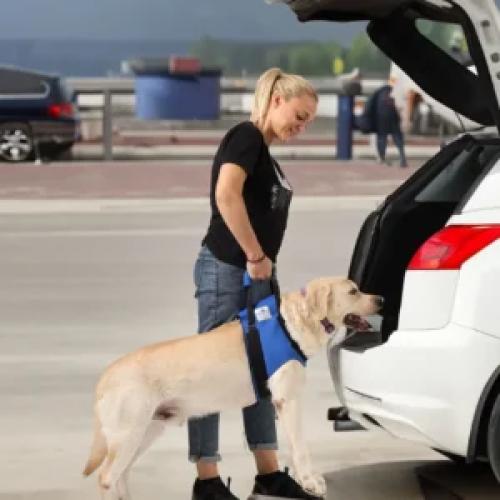 gehhilfe-tragehilfe-fur-hunde-nature-pet-hinten-l-77287