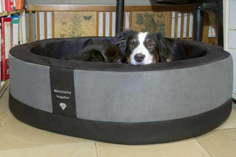 Orthopädischer Hundekorb Paddy – Premium Schlafkomfort für Ihren Vierbeiner