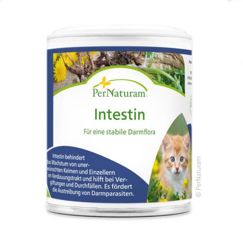 Intestin 50 g von PerNaturam