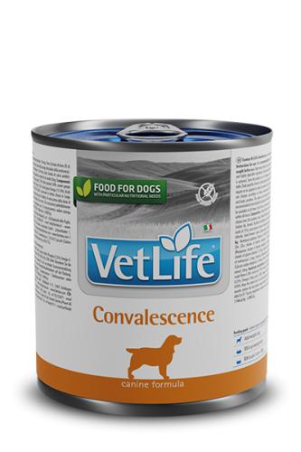 farmina-vet-life-canine-convalescence-wet-food-canine-300-gr-8347