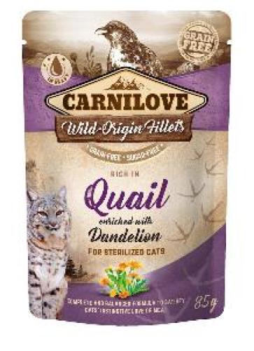 Adult Pouch Ragout - Wachtel angereichert mit Löwenzahn für Sterilisierte Katzene Katzen, Carnilove Cat, Getreidefrei, Kartoffelfrei, Erwachsen, Small, Alleinfutter, 85g