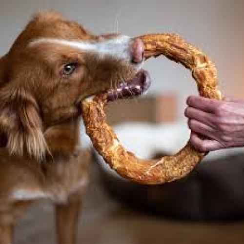 starsnack-barbecue-chicken-donut-xl-200cm-220g-72978