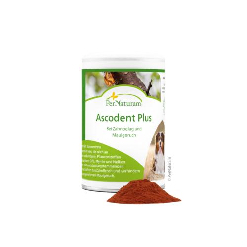 Ascodent Plus 100 g von PerNaturam