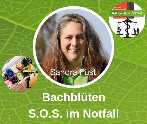 bachbluten-mischung-1hilfe-sos-notfall-10ml-79239