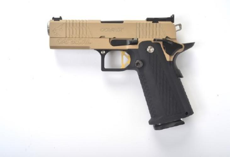 caracal-lynx-compact-duotone-159132