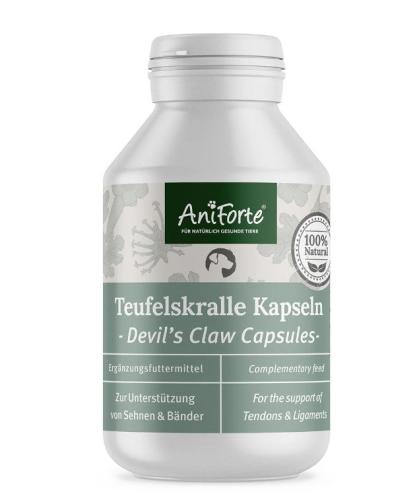 aniforte-teufelskralle-kapseln-100-stk-159231