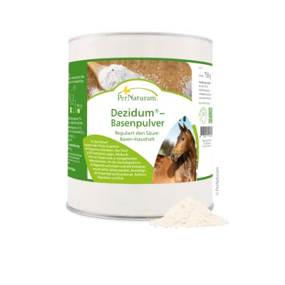 Dezidum-Basenpulver  750g