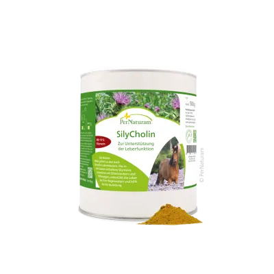 SilyCholin  500g