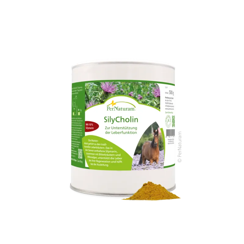 SilyCholin  500g