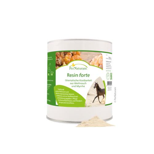 resin-forte-250g-125366