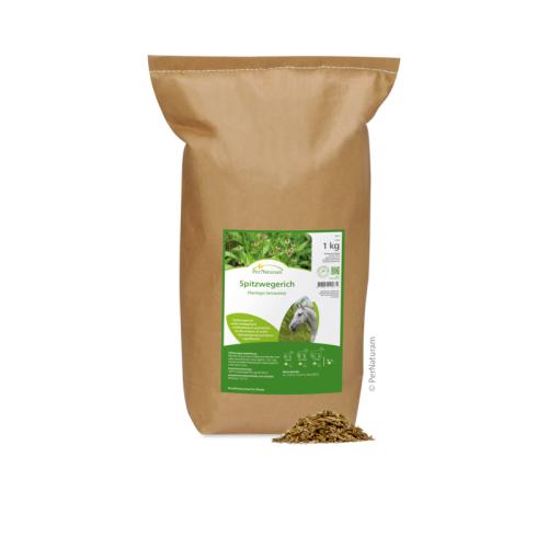spitzwegerich-1kg-125392
