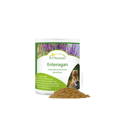 Enterogan-Dog  100g