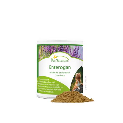 enterogan-dog-100-g-von-pernaturam-7904