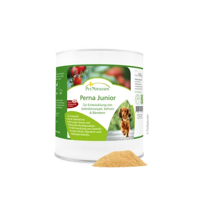 Perna Junior   500g