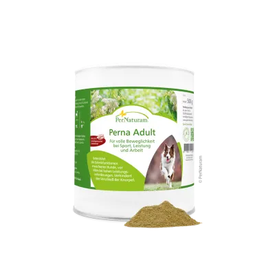 Perna Adult   500g